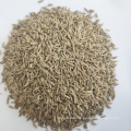 High Quality Nature Cumin Seeds Wholesale